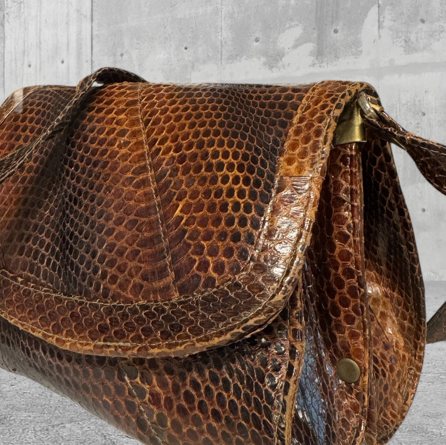 Brown Reptile Print Bag