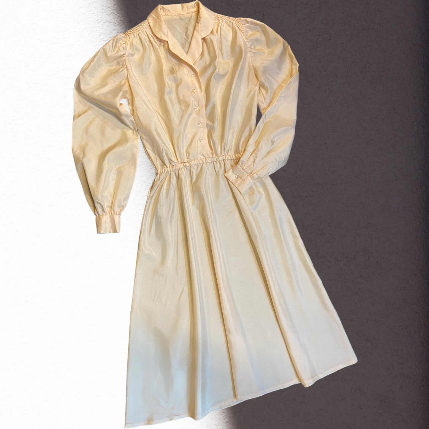 Nala Silk Dress Size 10